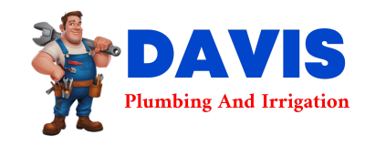 Trusted plumber in NEWELLTON